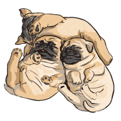 狗狗gif睡觉gif可爱gif萌萌哒gif