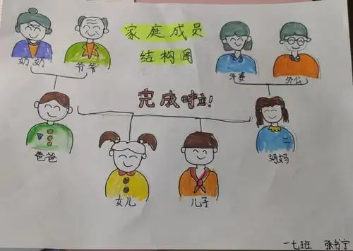 一年级七班 家族成员结构图