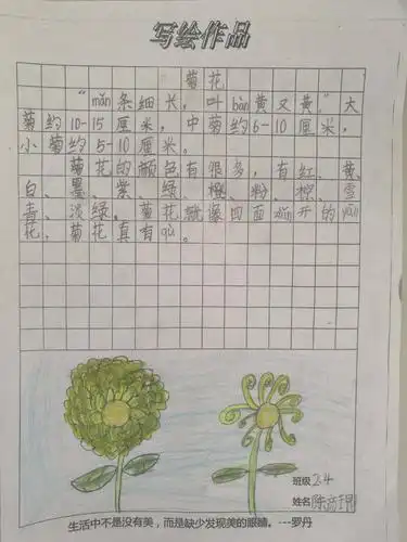 "魔法"作文课程---秋之菊花