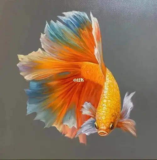 手绘油画金锦鲤9090cm