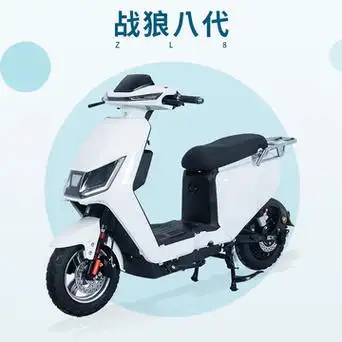 战狼八代跨境海外进出口电动车电动自行车双人电瓶车助力车代步车