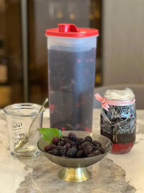 day12疫情居家自制桑葚酒0402