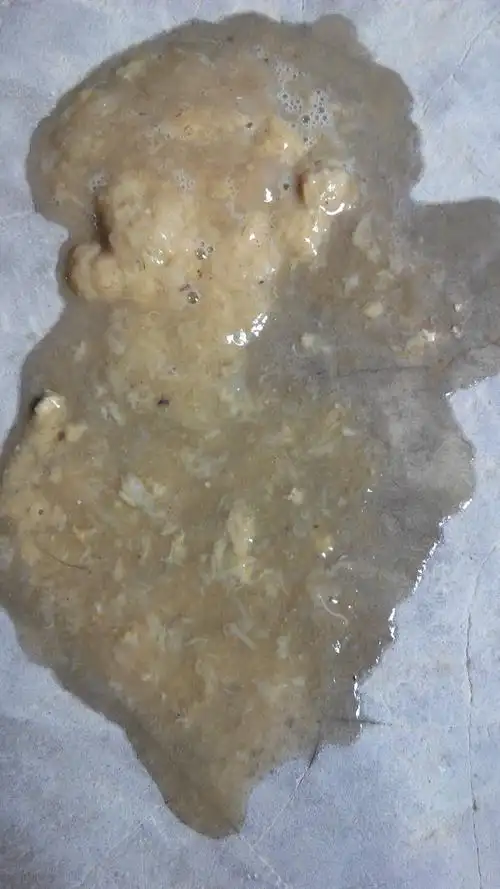 狗狗昨天开始拉肚子,昨天是鼻涕状还有点粉红,吃了药,今早起来发现