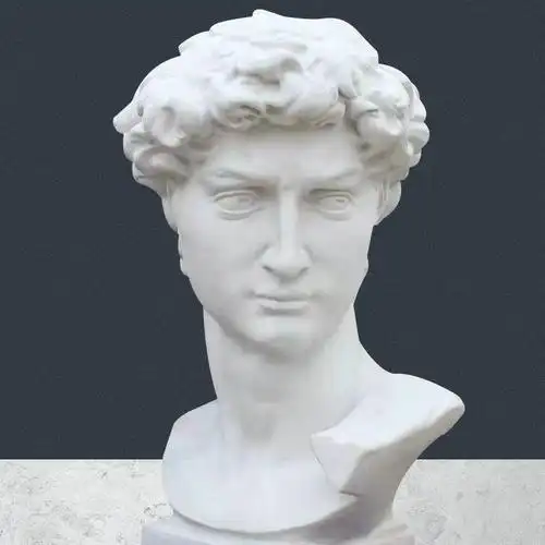 素描石膏头像照片大卫