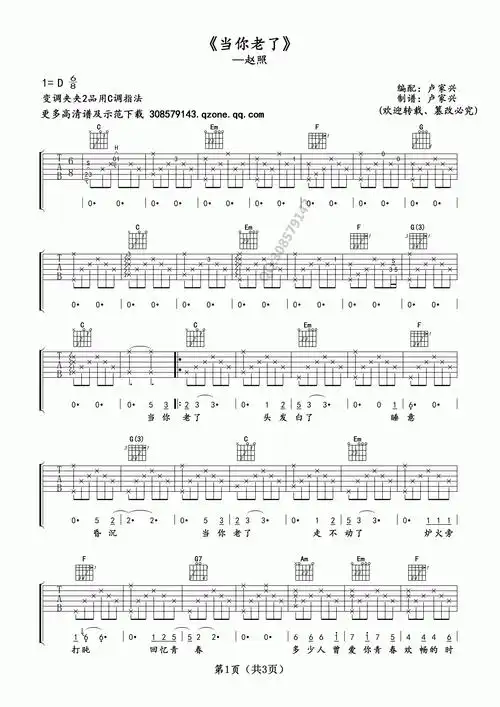 赵照 当你老了吉他谱 c调卢家兴编配版
