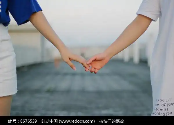 您当前访问作品主题是牵手的好朋友,编号是8676539,文件格式是jpg,您