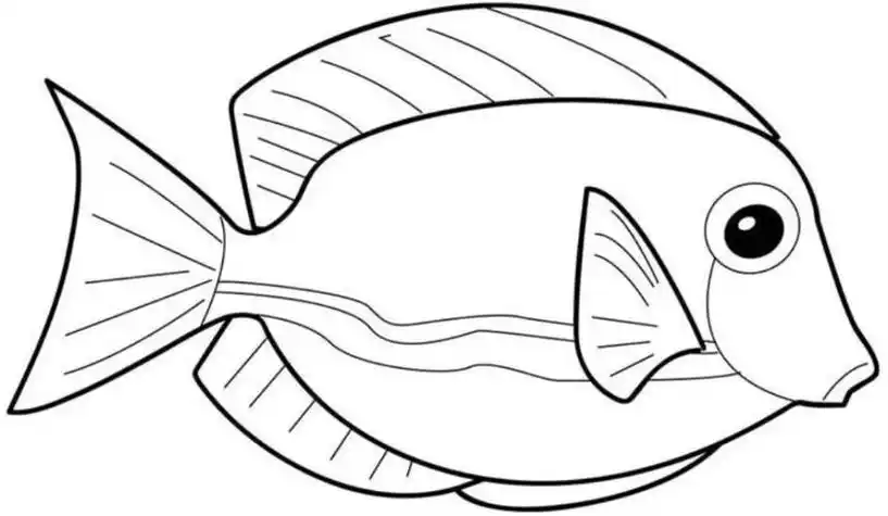 简笔画的鱼盘怎么画