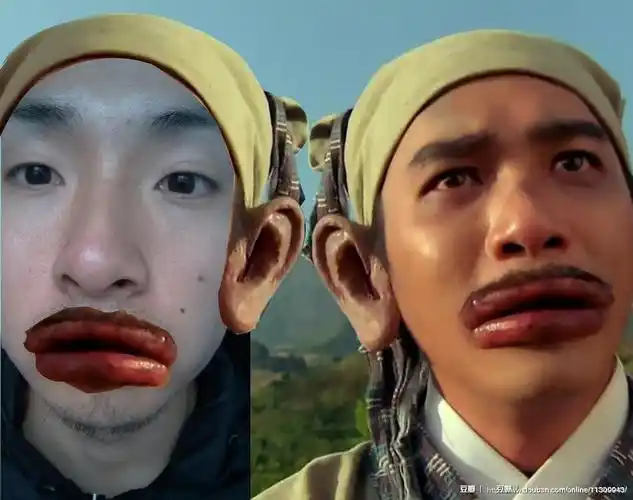 线上活动照片- "猪圈"杯第三届豆瓣明星脸大赛