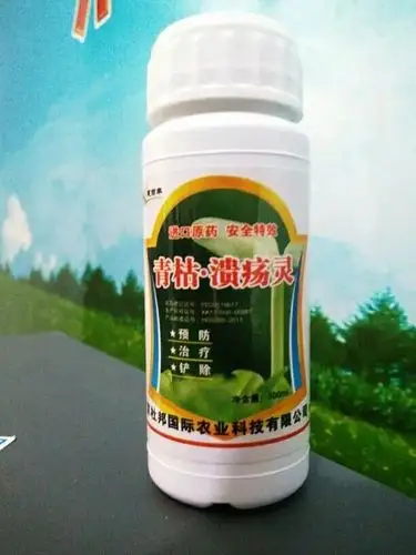 青枯溃疡灵西红柿青枯病药溃疡病药细菌性病害