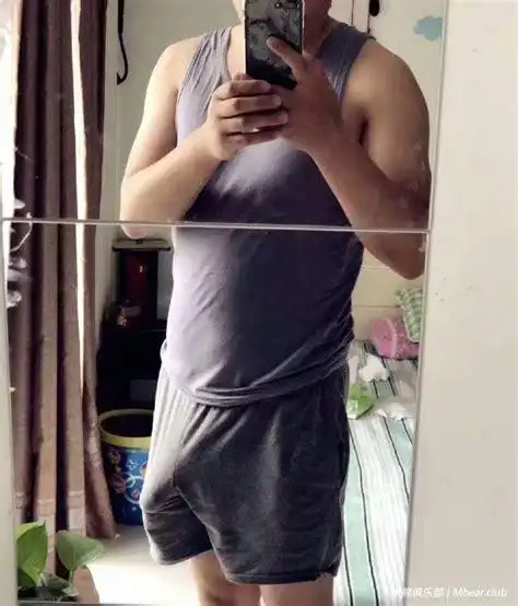 米熊俱乐部壮熊