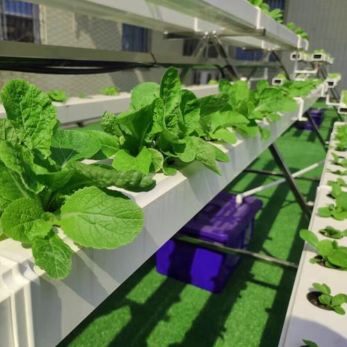 星舵nft无土栽培蔬菜草莓种植半a字架水培设备阳台管道种菜机学校科普