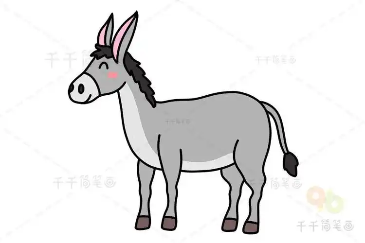 毛驴简笔画 简单易学陆地动物简笔画小毛驴简笔画教程毛驴简笔画图解