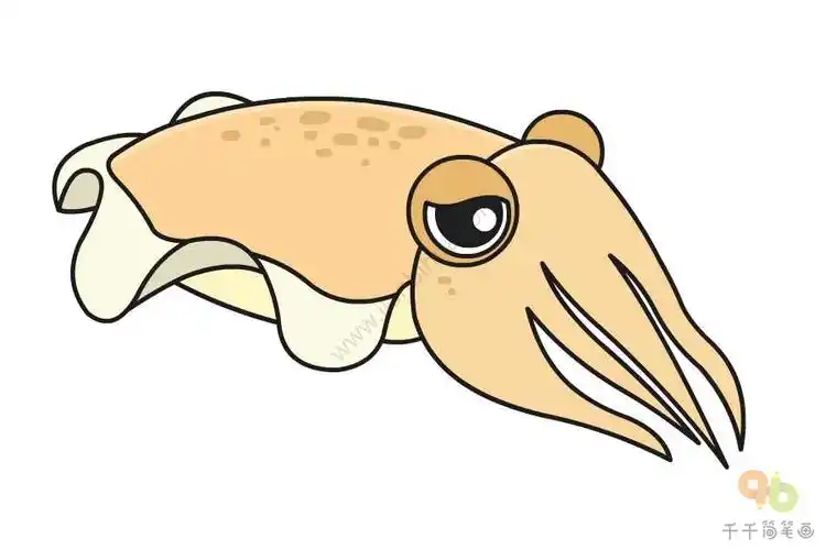 乌贼简笔画如何画
