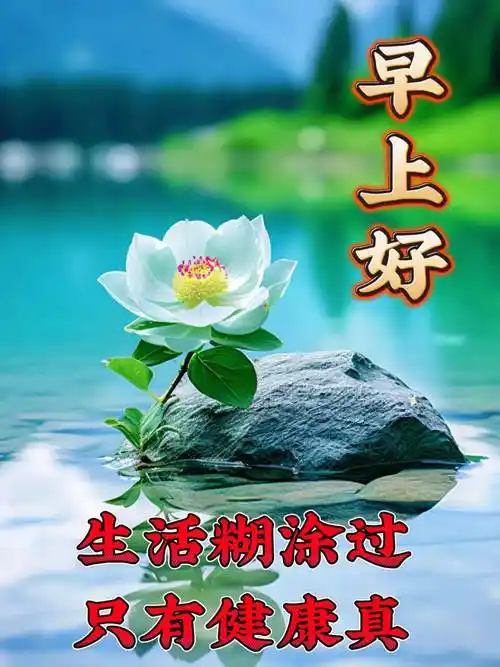 全新中老年秋日早上好表情包图片大全,祝您幸福满满,顺顺利利!