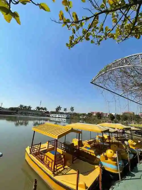 罗南生态园-"最近朋友圈的网红生态园.划重点:去过的..."-大众点评移