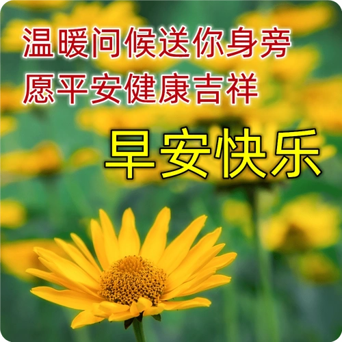 9张最新清新漂亮早上好图片带祝福语 冬日清晨早上好问候语温馨句子