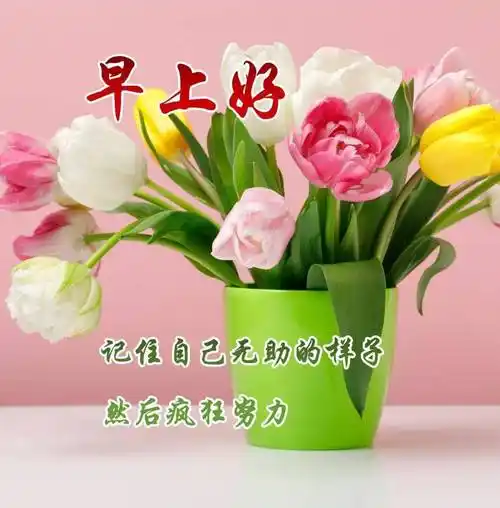 今日最新早安祝福图片大全,无限祝福,吉祥如意_朋友_问候_好运