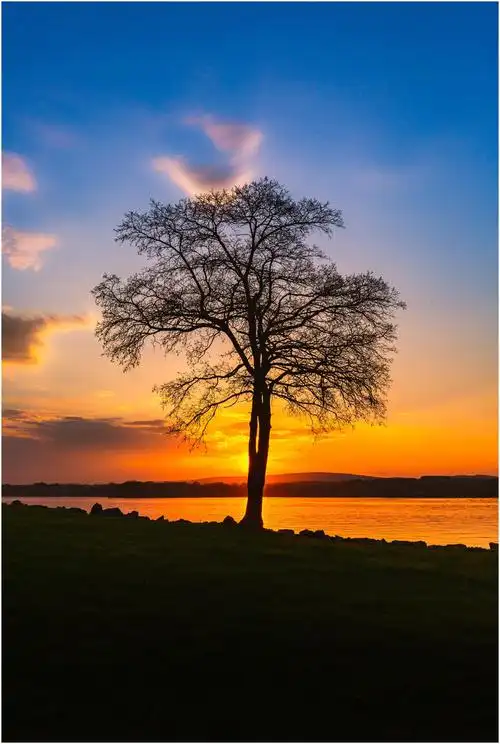 19张摄影作品,讲解7大生活场景摄影定律,新手也能拍出大片