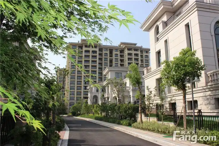 铂金府邸少儿拉丁舞大赛汇报演出舞动全城