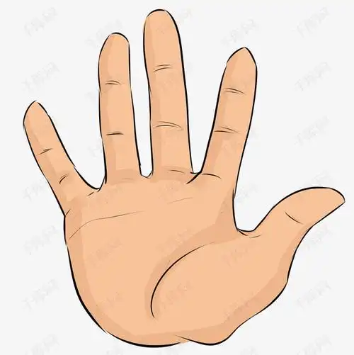 数字五字手势插画版权可商用有保障           编号:11924058 尺寸