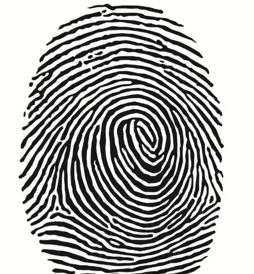 新鲜出炉(贵人相助百度百科)啥叫贵人相助的人,"贵人运"的几种手相