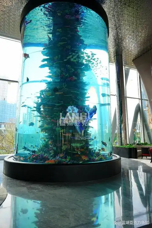 当我们提到大型鱼缸时,通常会想到长方形或正方形的设计.