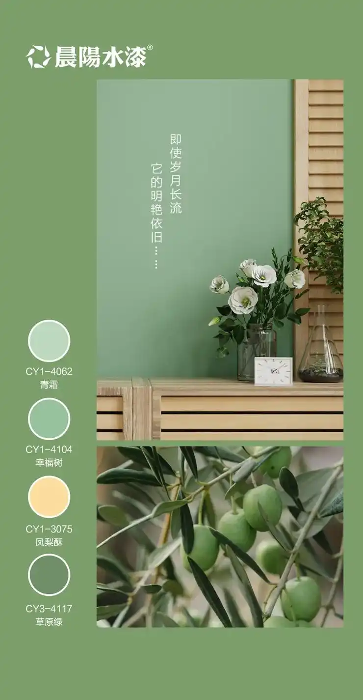 墙面装修 颜色如何搭配高端大气?#晨阳水漆 1188色卡分 - 抖音