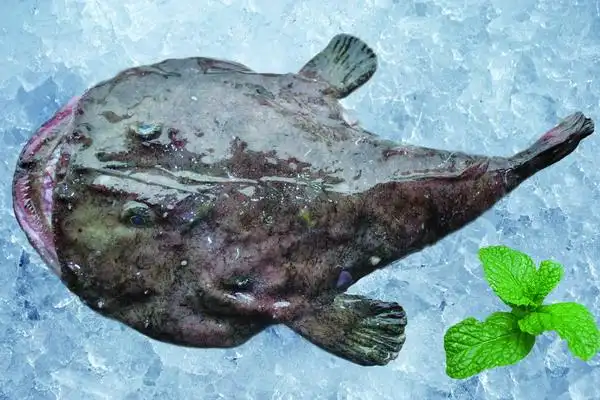 安康鱼 - 畜牧水产 - 黔农网