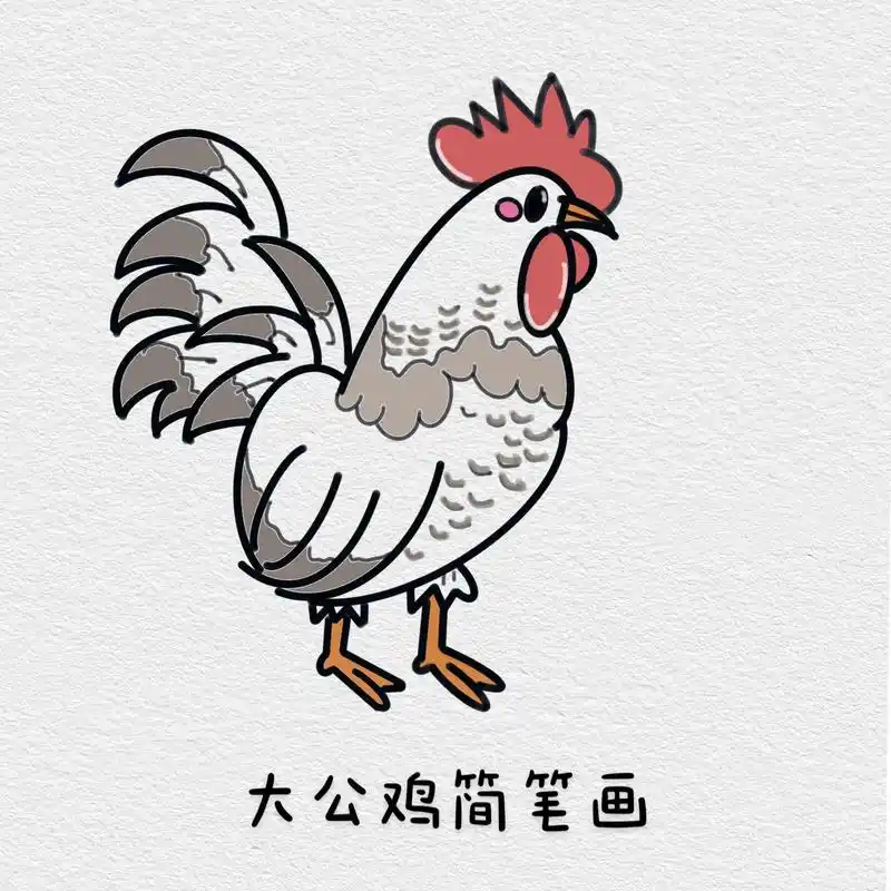 大公鸡简笔画