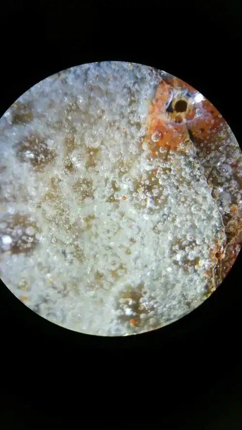 《古瓷气泡》超自然之美