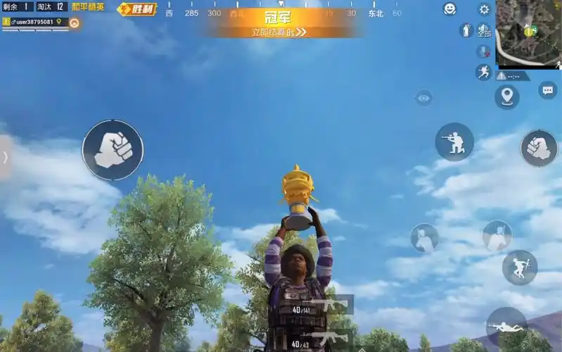 【和平精英】单人四排12杀吃鸡