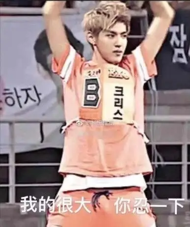 吴亦凡吴签我很大你忍一下表情包大全