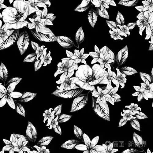 无缝复古风格的花型黑白花元素