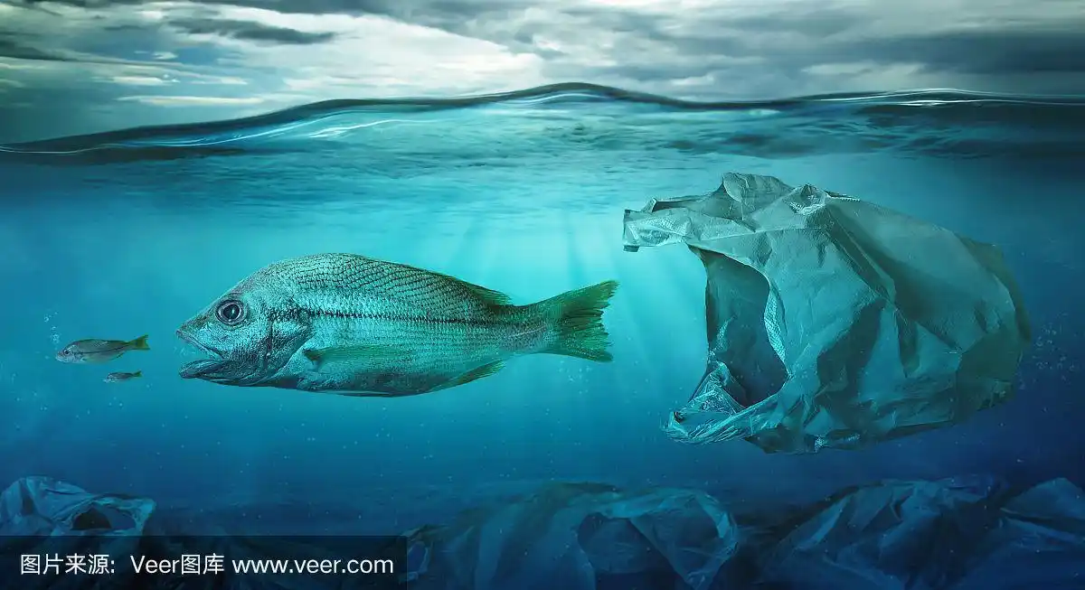 鱼在塑料袋海洋污染中游弋.环境的概念