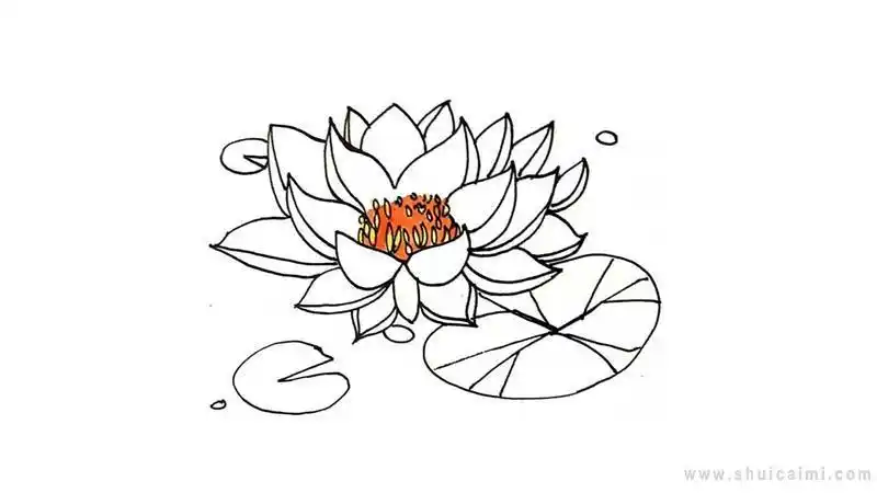 莲花荷叶睡莲简笔画幼儿园