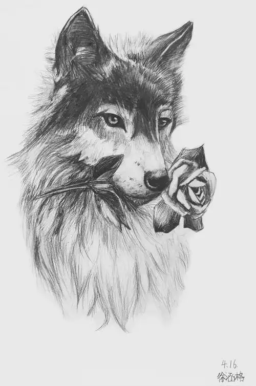 儿童素描,素描动物创作素材动物类创意线性素描