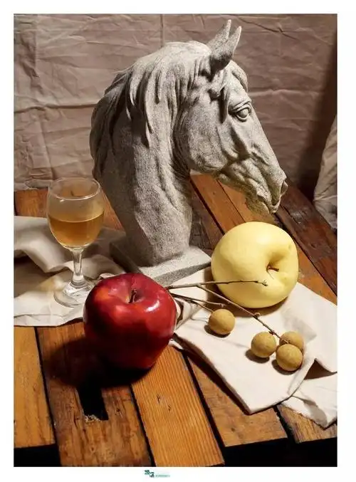 【照片】2017好书推荐——主题教学《精湛 素描静物照片》