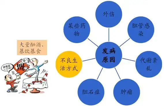 胰腺炎患者发病至恢复期的健康饮食建议