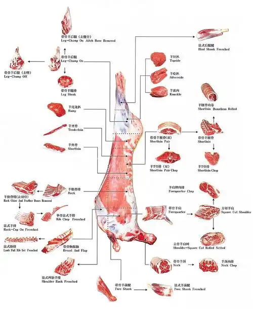推广羊文化,打造草原羊肉领导品牌我们努力做到最好