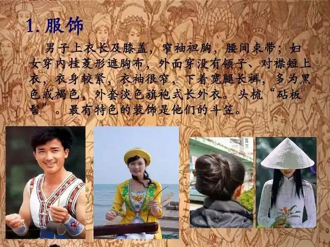 民族志之京族ppt