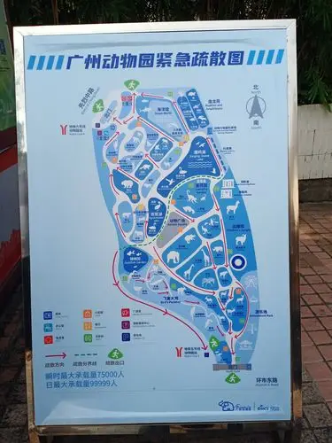 遇一人两心悦同游美妙世间景广州动物园