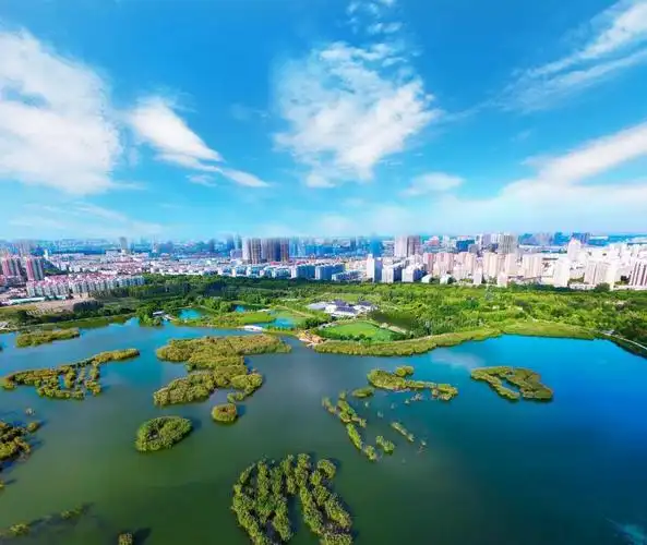 金凤区数字化网站建设_(金凤区数字化网站建设项目)