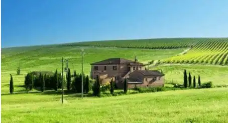 四体造句,四体拼音,四体意思 - 蓝格句子网