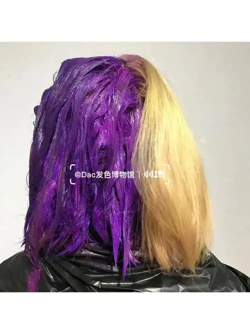 紫色染发,我要统治魔仙堡00