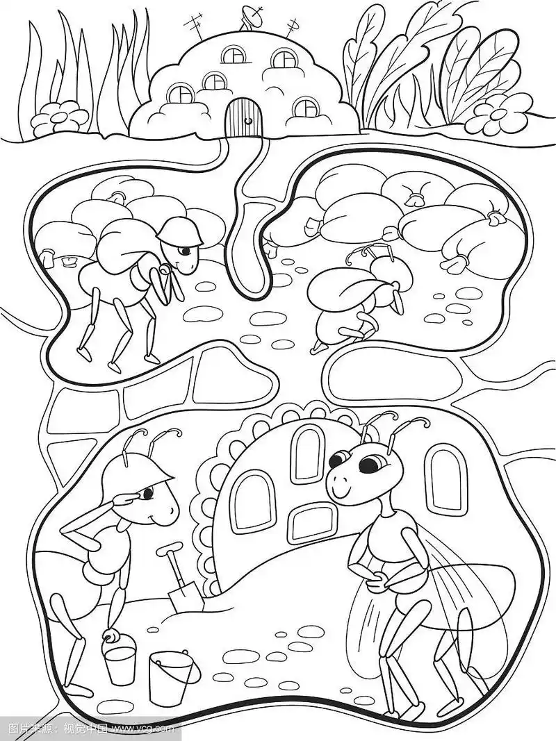 蚁丘中蚂蚁的内部和家庭生活