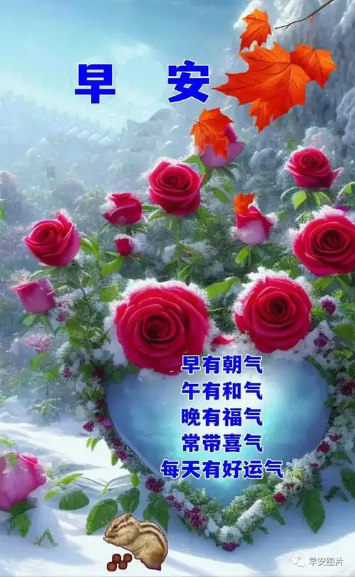 早安问候表情包～平安相随,健康永伴|清晨|晨曦|快乐_网易订阅