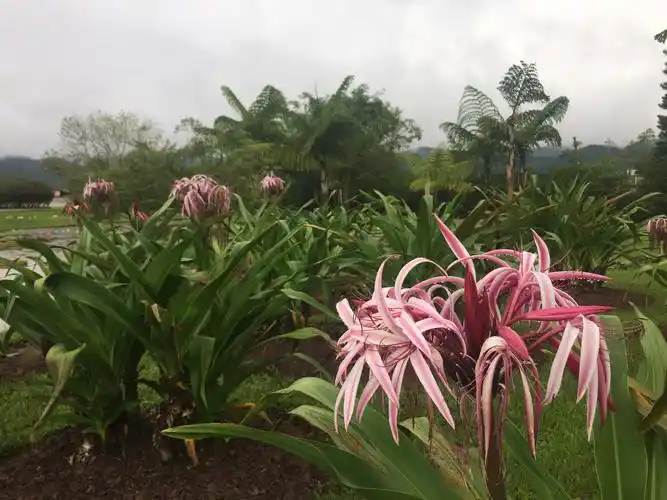 中国科学院西双版纳热带植物园