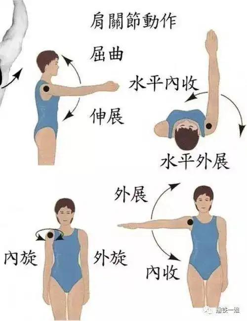 38岁张钧甯保持身材的方法是把自己拧成麻花?_网易订阅