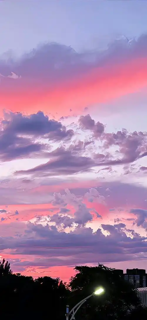 690_1497竖版 竖屏