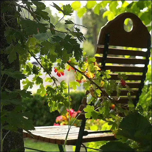 情感意境图片你好–我是来看春天的唯美意境网